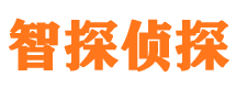 宁阳市侦探调查公司